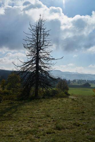 2021-Herbstwochenende YTR103